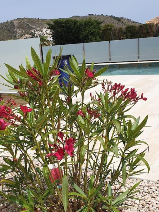Casa Osimos Portet 450 M Apartment *